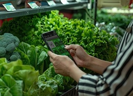 EUDR mở cuộc đua truy xuất nguồn gốc nông sản Việt