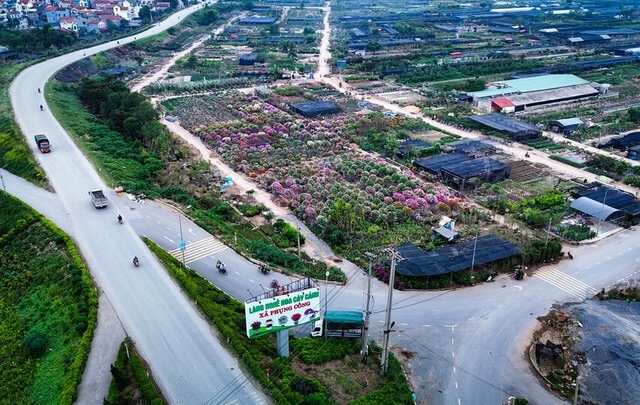 Doanh nghiệp vốn 1.5 ngàn tỷ mới thành lập đơn độc dự thầu khu đô thị gần 7 ngàn tỷ tại Hưng Yên