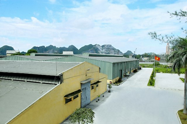 BBH bị xử phạt và truy thu thuế gần nửa tỷ đồng