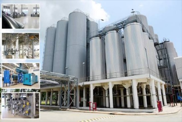 Bia Sài Gòn - Bạc Liêu rơi 93% lợi nhuận trong quý 3