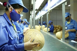 Hiệu quả tín dụng và yêu cầu về đổi mới để phát triển đối với doanh nghiệp nhỏ và vừa trên địa bàn TPHCM