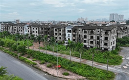 Các đại biểu Quốc hội đề nghị làm rõ đối tượng áp thuế suất 0.2% đối với đất bỏ hoang